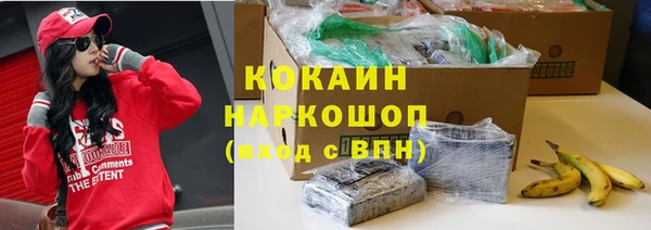 метадон Алексин
