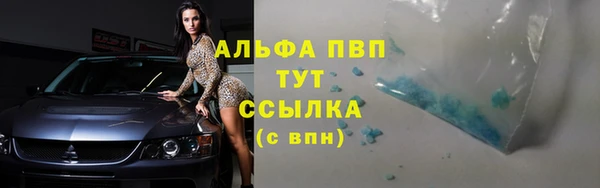 метадон Алексин