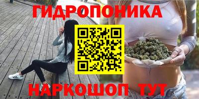 винт Аша